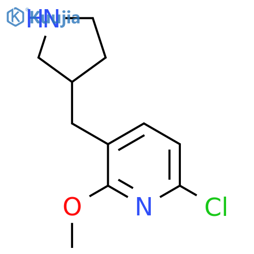 6-chloro-2-methoxy-3-(pyrrolidin-3-yl)methylpyridine structure