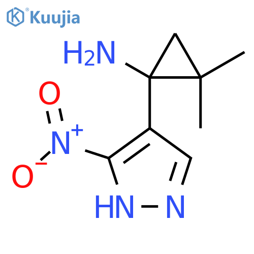 2,2-dimethyl-1-(3-nitro-1H-pyrazol-4-yl)cyclopropan-1-amine structure