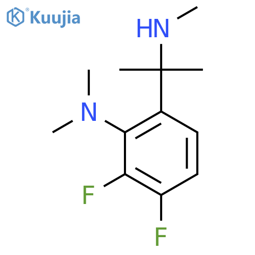 2,3-difluoro-N,N-dimethyl-6-2-(methylamino)propan-2-ylaniline structure