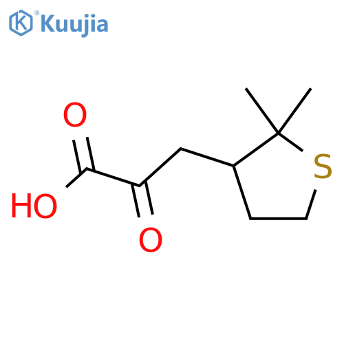 3-(2,2-dimethylthiolan-3-yl)-2-oxopropanoic acid structure