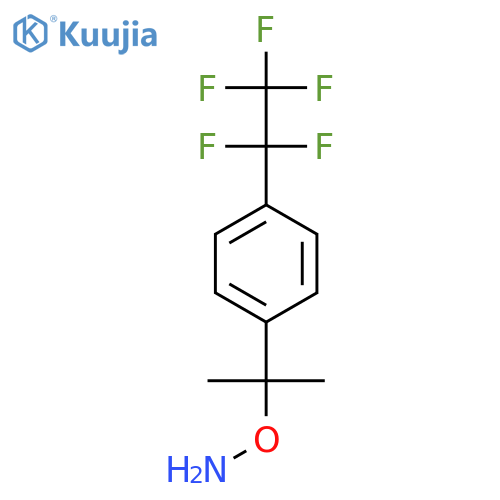 O-{2-4-(pentafluoroethyl)phenylpropan-2-yl}hydroxylamine structure