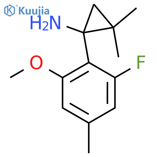 1-(2-fluoro-6-methoxy-4-methylphenyl)-2,2-dimethylcyclopropan-1-amine structure
