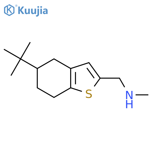 (5-tert-butyl-4,5,6,7-tetrahydro-1-benzothiophen-2-yl)methyl(methyl)amine structure