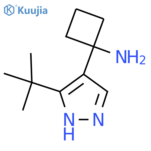 1-(3-tert-butyl-1H-pyrazol-4-yl)cyclobutan-1-amine structure