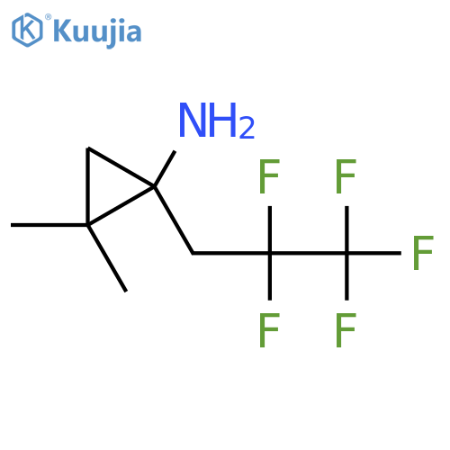 2,2-dimethyl-1-(2,2,3,3,3-pentafluoropropyl)cyclopropan-1-amine structure