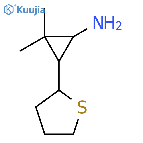 2,2-dimethyl-3-(thiolan-2-yl)cyclopropan-1-amine structure
