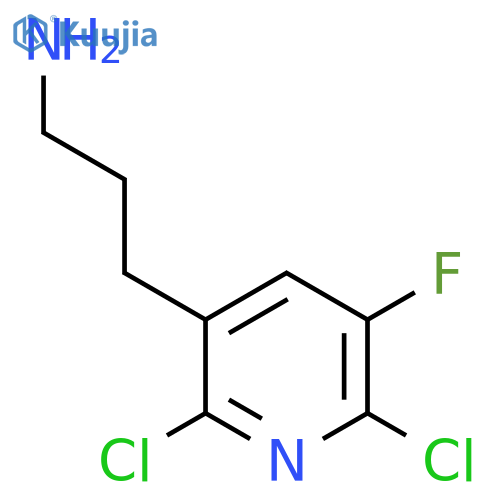 3-(2,6-dichloro-5-fluoropyridin-3-yl)propan-1-amine structure