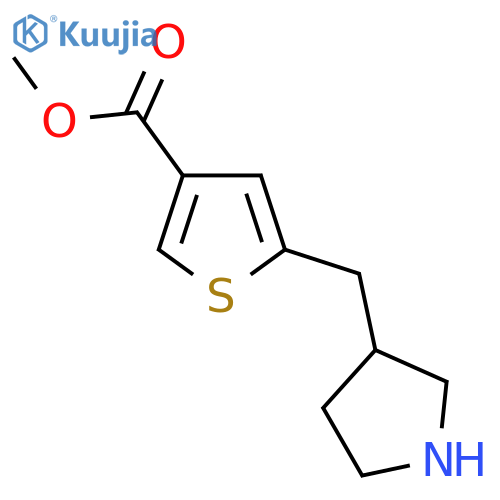 methyl 5-(pyrrolidin-3-yl)methylthiophene-3-carboxylate structure