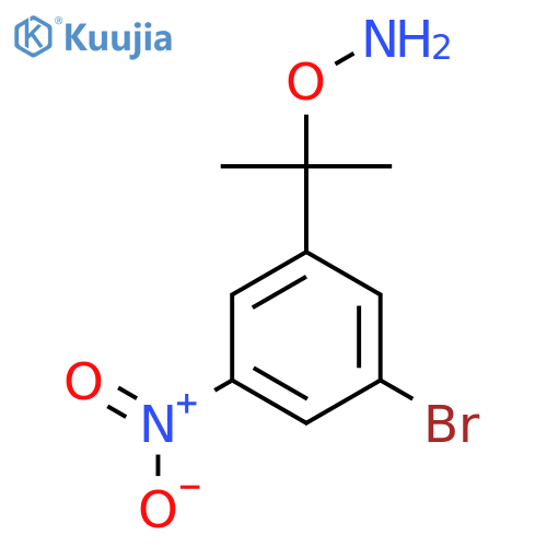 O-2-(3-bromo-5-nitrophenyl)propan-2-ylhydroxylamine structure