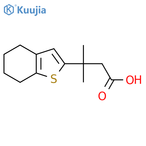 3-methyl-3-(4,5,6,7-tetrahydro-1-benzothiophen-2-yl)butanoic acid structure