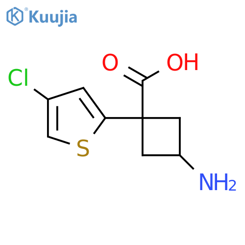 3-amino-1-(4-chlorothiophen-2-yl)cyclobutane-1-carboxylic acid structure