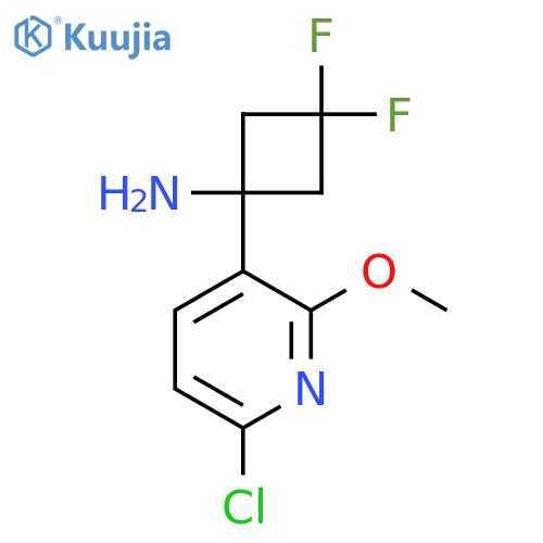 1-(6-chloro-2-methoxypyridin-3-yl)-3,3-difluorocyclobutan-1-amine structure