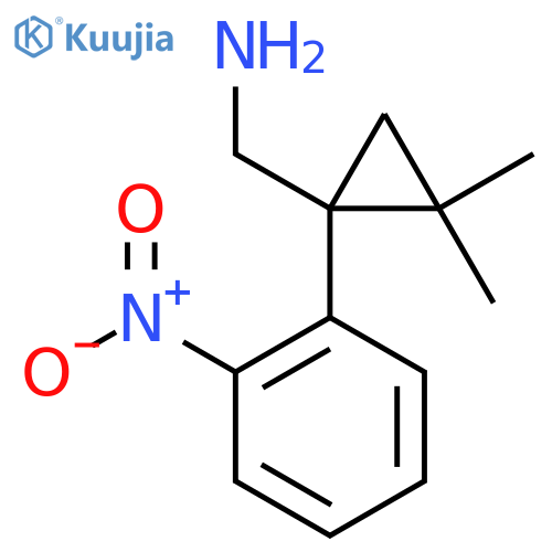 2,2-dimethyl-1-(2-nitrophenyl)cyclopropylmethanamine structure
