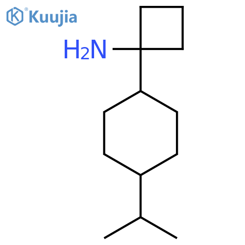 1-4-(propan-2-yl)cyclohexylcyclobutan-1-amine structure