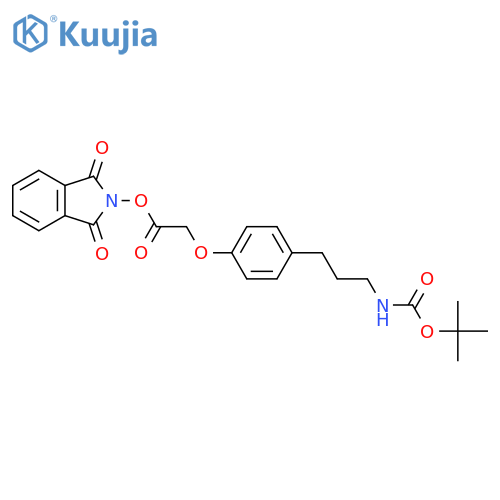 1,3-dioxo-2,3-dihydro-1H-isoindol-2-yl 2-[4-(3-{[(tert-butoxy)carbonyl]amino}propyl)phenoxy]acetate structure
