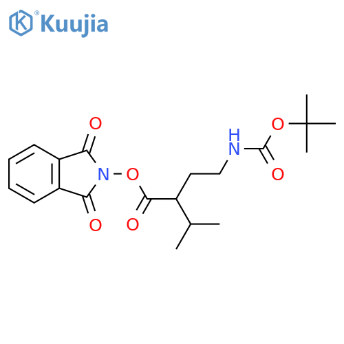 1,3-dioxo-2,3-dihydro-1H-isoindol-2-yl 2-(2-{[(tert-butoxy)carbonyl]amino}ethyl)-3-methylbutanoate structure