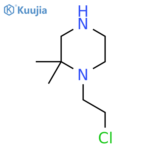 1-(2-Chloroethyl)-2,2-dimethylpiperazine structure