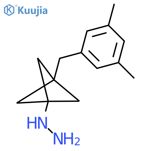 [3-[(3,5-Dimethylphenyl)methyl]-1-bicyclo[1.1.1]pentanyl]hydrazine structure