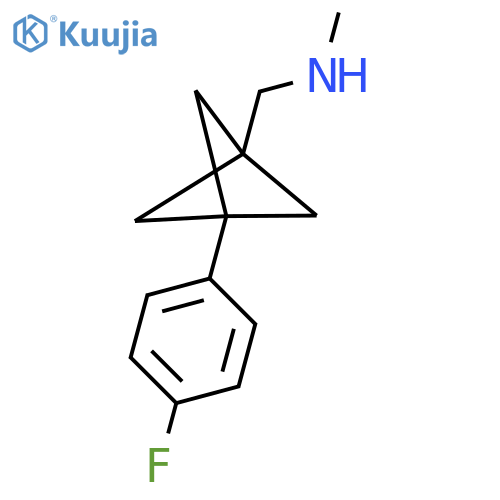 {[3-(4-Fluorophenyl)bicyclo[1.1.1]pentan-1-yl]methyl}(methyl)amine structure