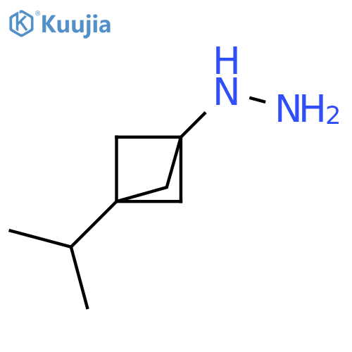 Hydrazine, [3-(1-methylethyl)bicyclo[1.1.1]pent-1-yl]- structure