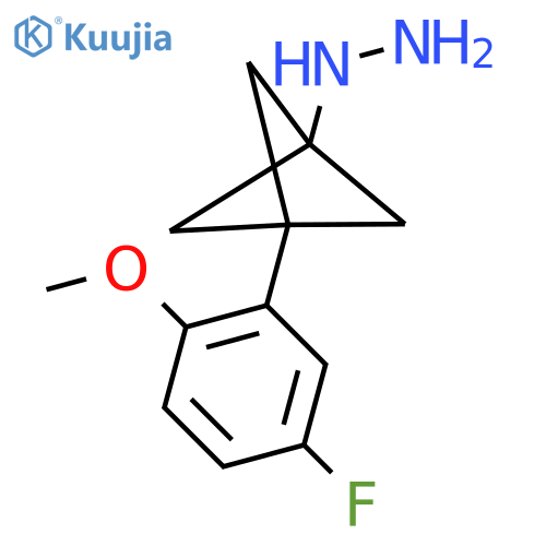 [3-(5-Fluoro-2-methoxyphenyl)-1-bicyclo[1.1.1]pentanyl]hydrazine structure