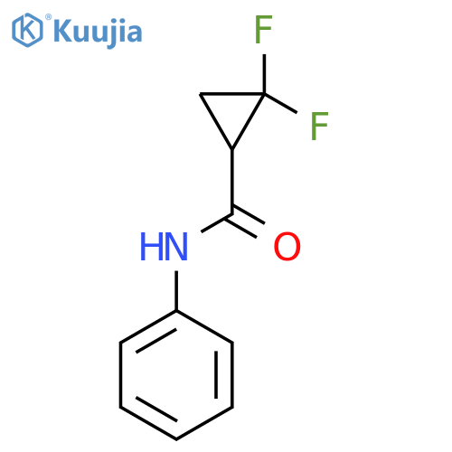 2,2-difluoro-N-phenylcyclopropane-1-carboxamide structure