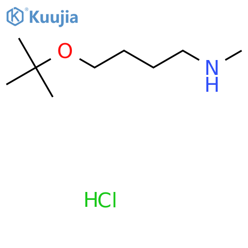 N-Methyl-4-[(2-methylpropan-2-yl)oxy]butan-1-amine;hydrochloride structure