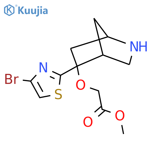Methyl 2-{[5-(4-bromo-1,3-thiazol-2-yl)-2-azabicyclo[2.2.1]heptan-5-yl]oxy}acetate structure