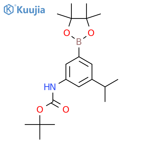 tert-Butyl N-[3-isopropyl-5-(tetramethyl-1,3,2-dioxaborolan-2-yl)phenyl]carbamate structure
