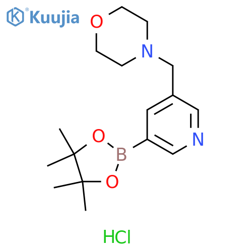 5-Morpholinomethylpyridine-3-boronic acid pinacol ester hydrochloride structure