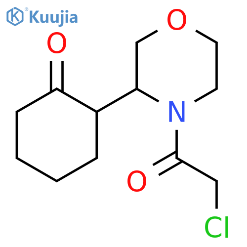 2-4-(2-chloroacetyl)morpholin-3-ylcyclohexan-1-one structure
