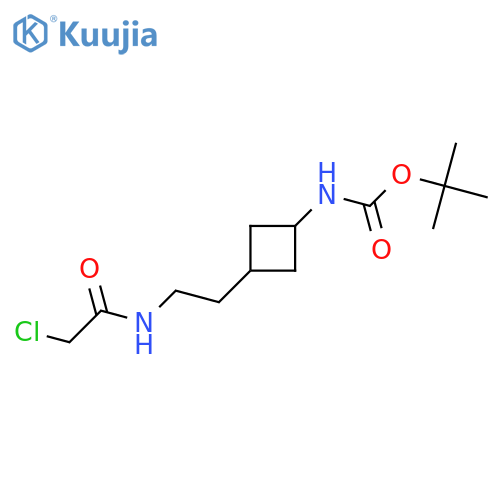 tert-butyl N-{3-2-(2-chloroacetamido)ethylcyclobutyl}carbamate structure
