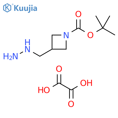 oxalic acid, tert-butyl 3-(hydrazinylmethyl)azetidine-1-carboxylate structure