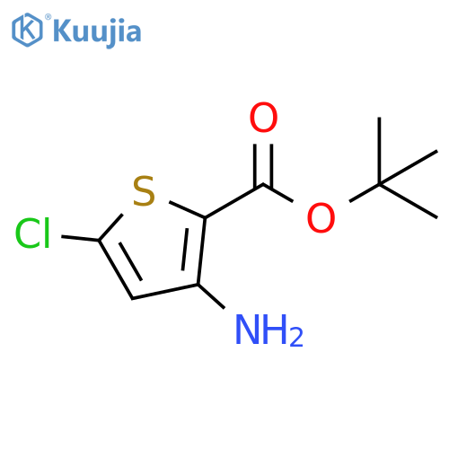 tert-butyl 3-amino-5-chlorothiophene-2-carboxylate structure