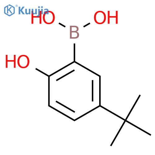 (5-(Tert-butyl)-2-hydroxyphenyl)boronic acid structure