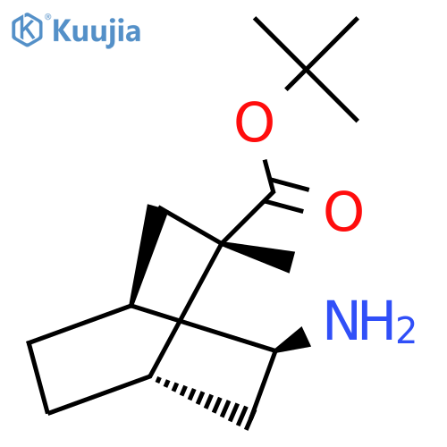 rac-tert-butyl (1R,2R,4R,5R)-5-amino-2-methylbicyclo2.2.2octane-2-carboxylate structure