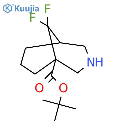 tert-butyl 9,9-difluoro-3-azabicyclo3.3.1nonane-1-carboxylate structure
