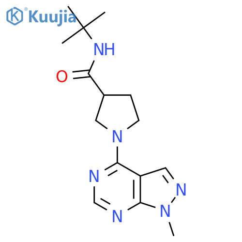 N-tert-butyl-1-{1-methyl-1H-pyrazolo[3,4-d]pyrimidin-4-yl}pyrrolidine-3-carboxamide structure