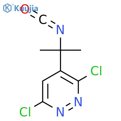 3,6-Dichloro-4-(2-isocyanatopropan-2-yl)pyridazine structure