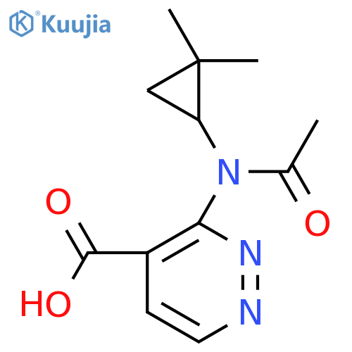 3-N-(2,2-dimethylcyclopropyl)acetamidopyridazine-4-carboxylic acid structure