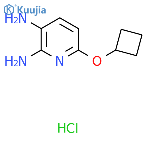 6-Cyclobutoxypyridine-2,3-diamine hydrochloride structure