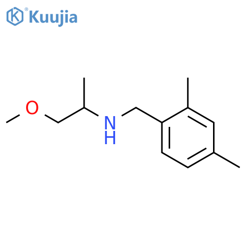 (2,4-dimethylphenyl)methyl(1-methoxypropan-2-yl)amine structure