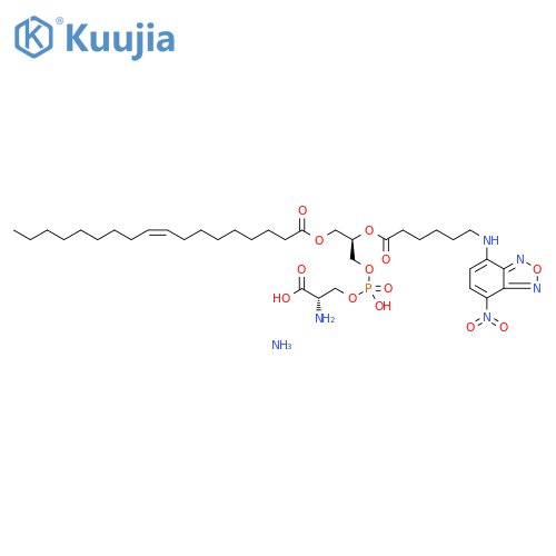 18:1-06:0 NBD PS structure