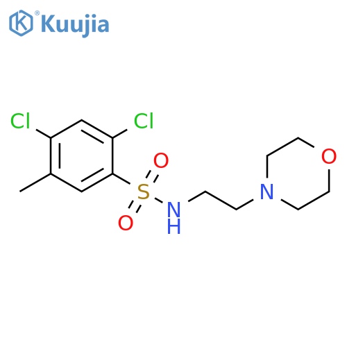 2,4-dichloro-5-methyl-N-2-(morpholin-4-yl)ethylbenzene-1-sulfonamide structure