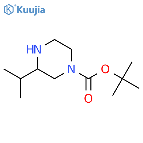 1-Boc-3-isopropyl-piperazine structure