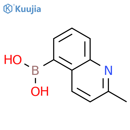 2-methylquinoline-5-boronic acid structure