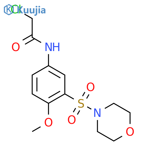2-chloro-N-[4-methoxy-3-(morpholine-4-sulfonyl)phenyl]acetamide structure