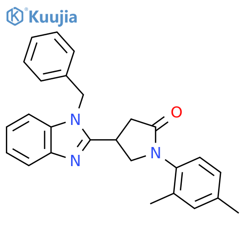 4-(1-benzyl-1H-1,3-benzodiazol-2-yl)-1-(2,4-dimethylphenyl)pyrrolidin-2-one structure