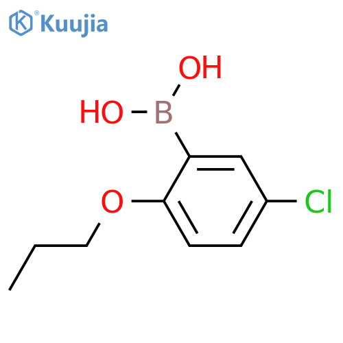 (5-Chloro-2-propoxyphenyl)boronic acid structure