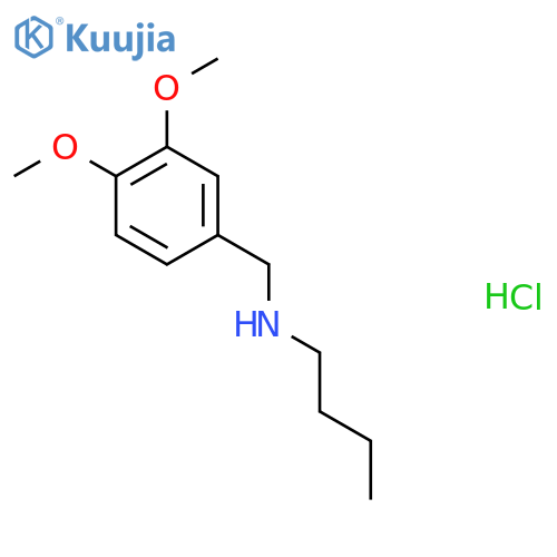 Butyl[(3,4-dimethoxyphenyl)methyl]amine hydrochloride structure